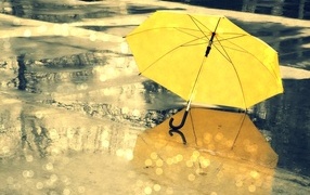 Желтый зонт лежит на мокром асфальте