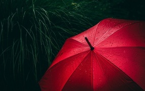 Большой красный зонт в траве под дождем