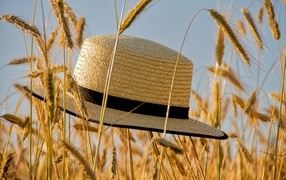 Соломенная шляпа на поле с пшеницей