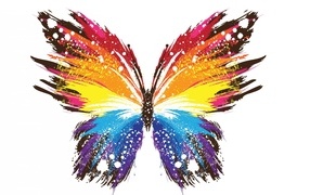 Разноцветная нарисованная бабочка на белом фоне
