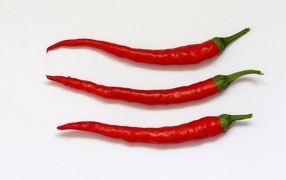 Three chili peppers on a gray background