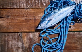 Fresh fish with rope on wooden table