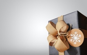 Large gift with a bow on a gray background