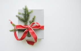 White box with fir branch and bow on a gray background