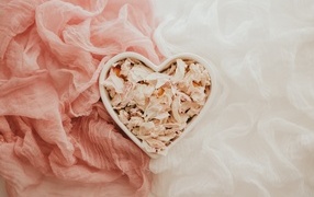 Heart-shaped box with dry petals