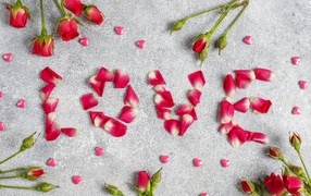 The inscription love from rose petals