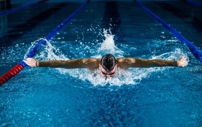 Male swimmer in the pool