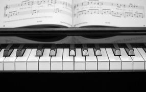 Клавиши пианино с нотной тетрадью