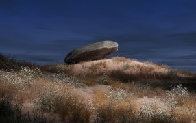 Большой камень лежит на траве ночью