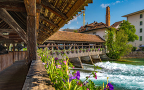 Красивый деревянный мост с цветами через реку