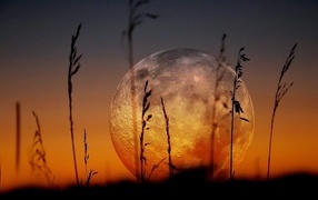 Большая холодная луна над полем