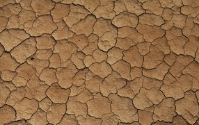 Трещины на сухой земле 