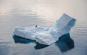 Большой холодный айсберг водах Антарктики