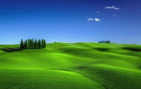 Зеленое волнистое поле под голубым небом