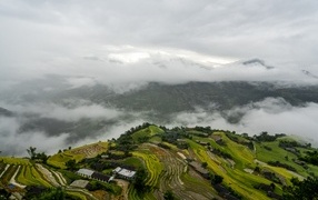 Вид сверху на плантации в тумане
