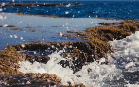Splashes of cold sea water on the shore