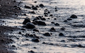 Wet stones on the sand by the sea