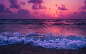 White sea waves on the shore in the rays of a pink sunset