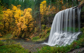 Быстрый холодный водопад в осеннем лесу