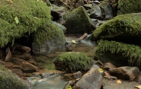 Лесной водопад стекает по холодным камням осенью
