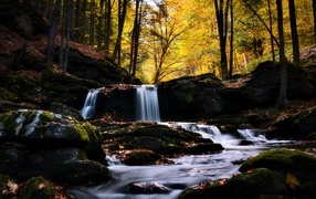 Лесной водопад стекает по камням в лесу