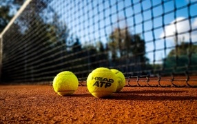 Желтые теннисные мячи на поле у сетки