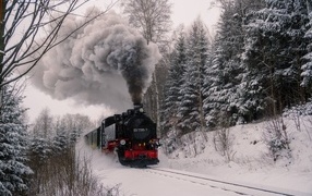 Старый паровоз едет по заснеженному лесу