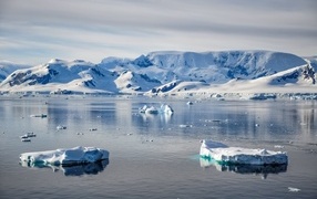 Глыбы льда в холодном океане