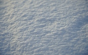 Холодный белый выпавший снег