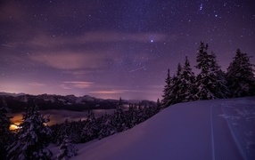 Звездное небо над покрытыми снегом елями