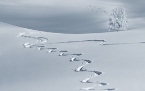 Извилистая дорожка на холодном белом снегу