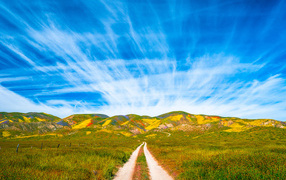 Красивое голубое небо над национальным парком, США