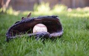 Бейсбольная перчатка и мяч на зеленой траве