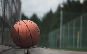 Баскетбольный мяч лежит на поле