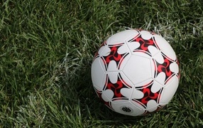 Leather soccer ball on green grass