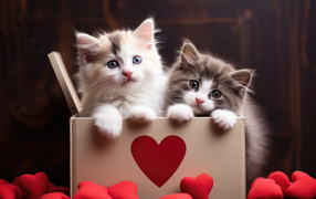 Two little kittens in a box with hearts