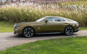 Оливковый автомобиль Rolls-Royce Spectre у высокой травы