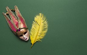 Venetian mask and yellow feather on green background