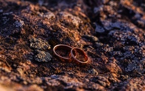 Два обручальных кольца на земле