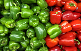 Large red and green bell pepper
