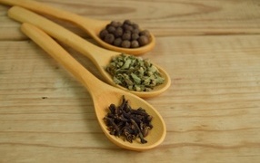 Three wooden spoons with spices