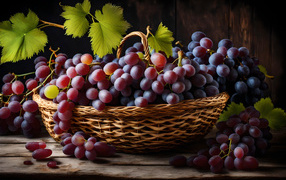 Basket with large bunches of pink grapes