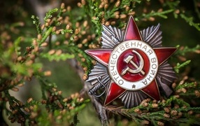 Order with branches for Victory Day, May 9