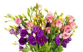 Bouquet of beautiful multi-colored eustoma flowers