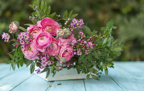 Bouquet of pink ranunculus flowers in a box on a blue table
