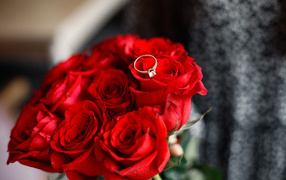 Bouquet of red roses with a ring for your beloved