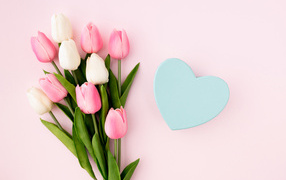 Букет тюльпанов с голубым сердцем на розовом фоне 