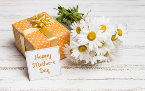 Bouquet of yellow daisies and gift for Mother's Day