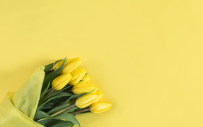 Букет желтых тюльпанов в бумаге на желтом фоне