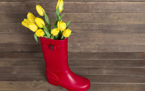 Red boot with yellow tulips on a wooden table